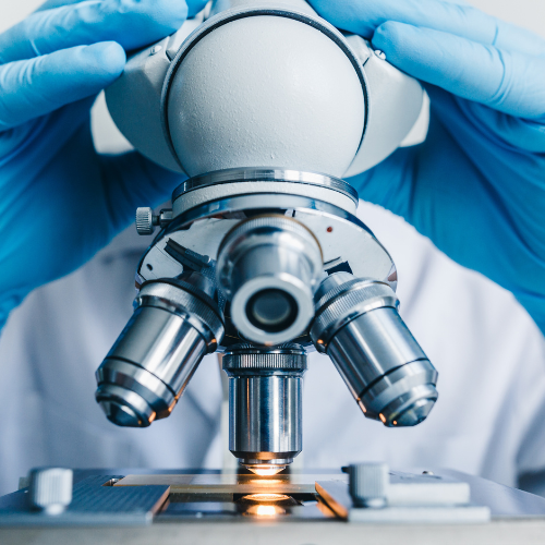 Diseño sin título (64)