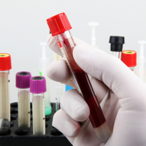 Diseño sin título (66)