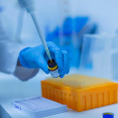 Diseño sin título (71)